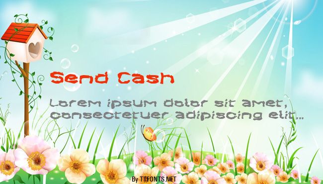 Send Cash example