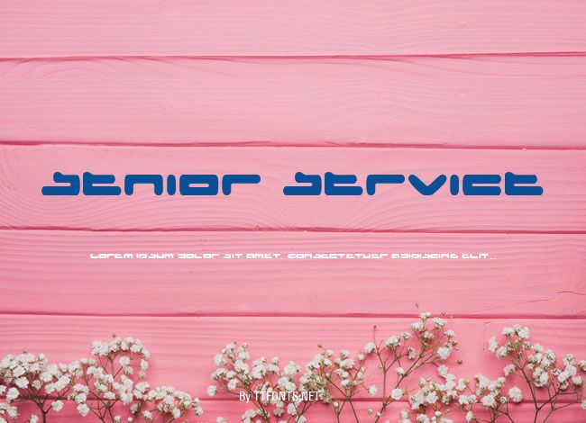 Senior Service example