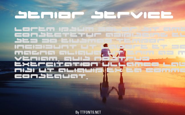 Senior Service example