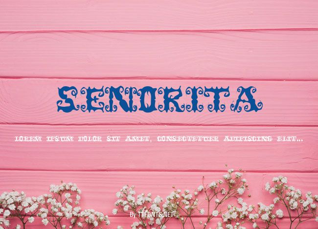 Senorita example