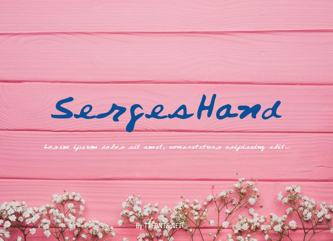 SergesHand example