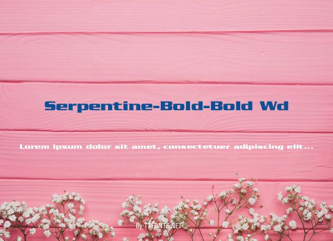 Serpentine-Bold-Bold Wd example