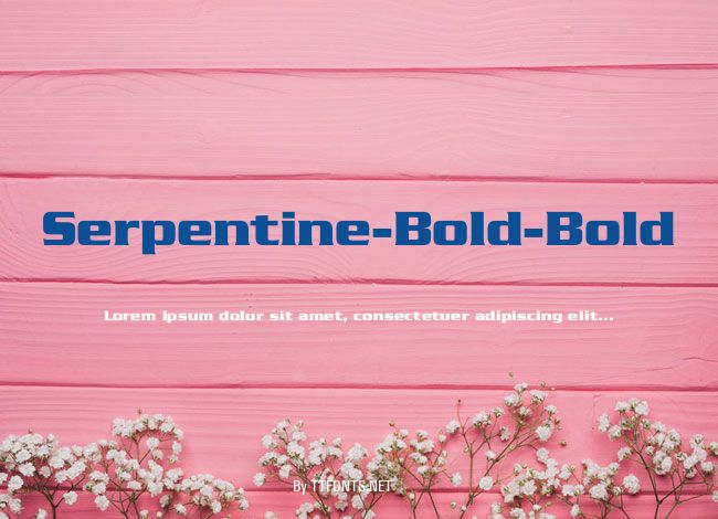 Serpentine-Bold-Bold example