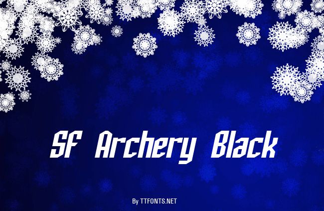 SF Archery Black example