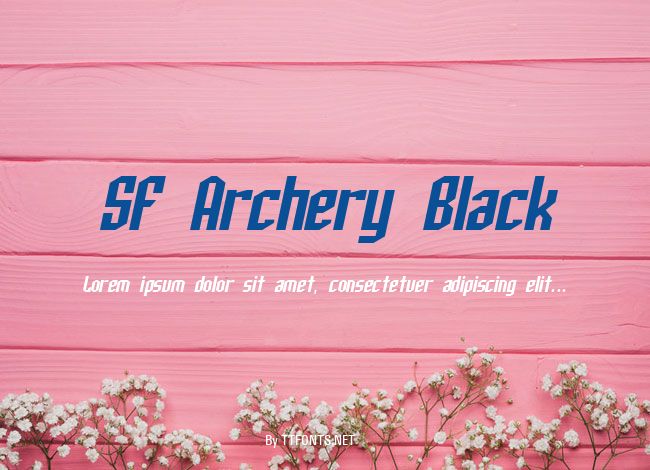 SF Archery Black example