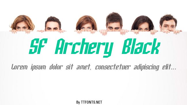 SF Archery Black example