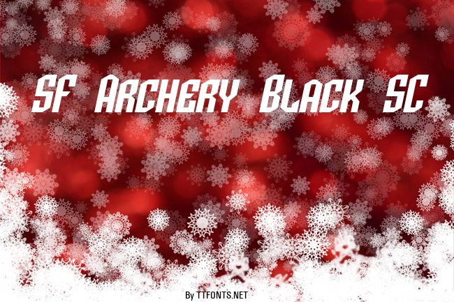 SF Archery Black SC example