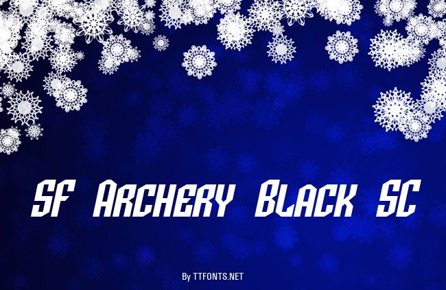 SF Archery Black SC example
