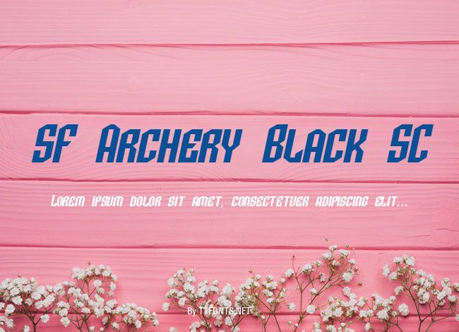 SF Archery Black SC example
