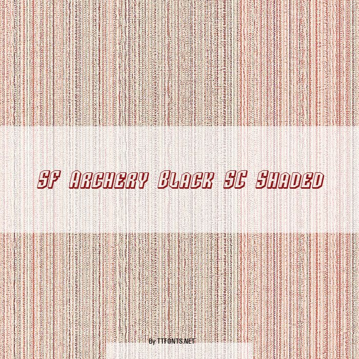 SF Archery Black SC Shaded example
