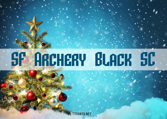 SF Archery Black SC example