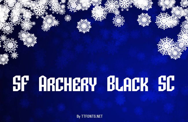 SF Archery Black SC example