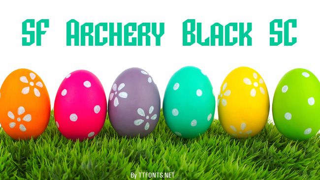 SF Archery Black SC example