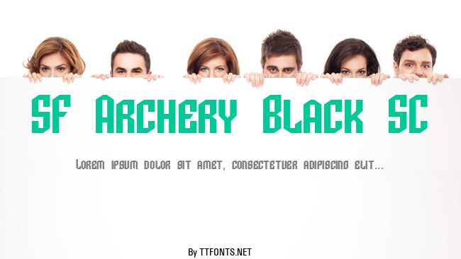SF Archery Black SC example