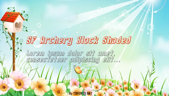SF Archery Black Shaded example