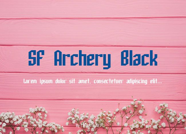 SF Archery Black example