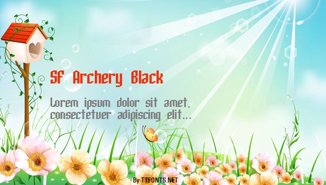 SF Archery Black example