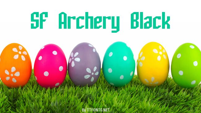 SF Archery Black example