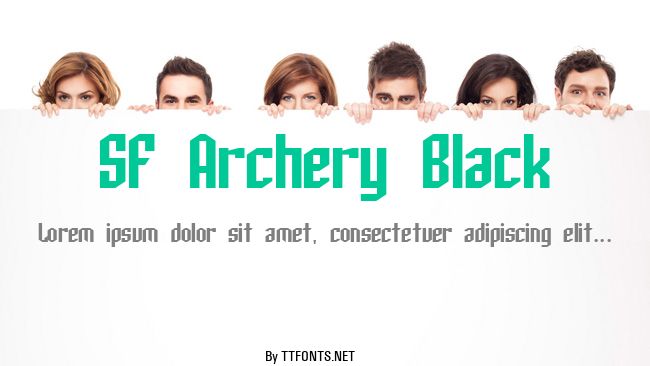 SF Archery Black example