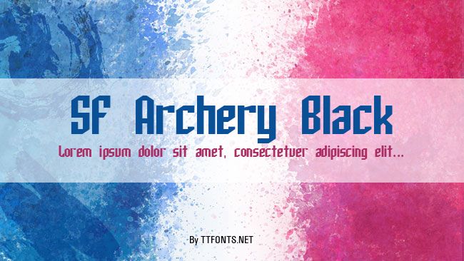 SF Archery Black example