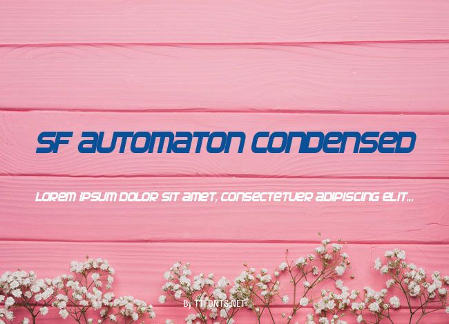 SF Automaton Condensed example