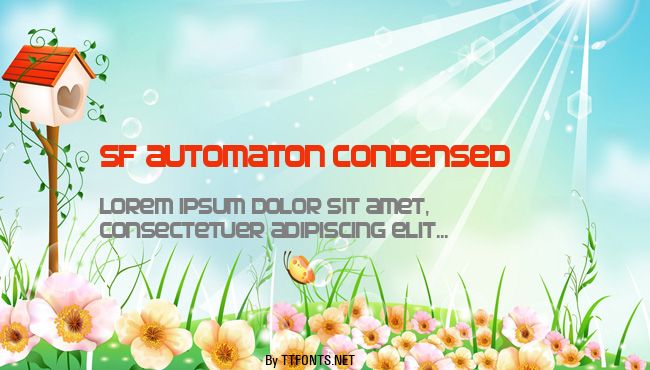 SF Automaton Condensed example
