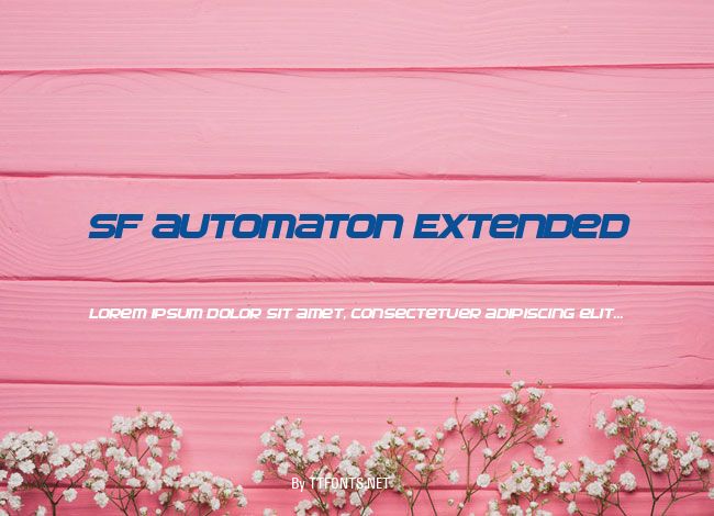 SF Automaton Extended example