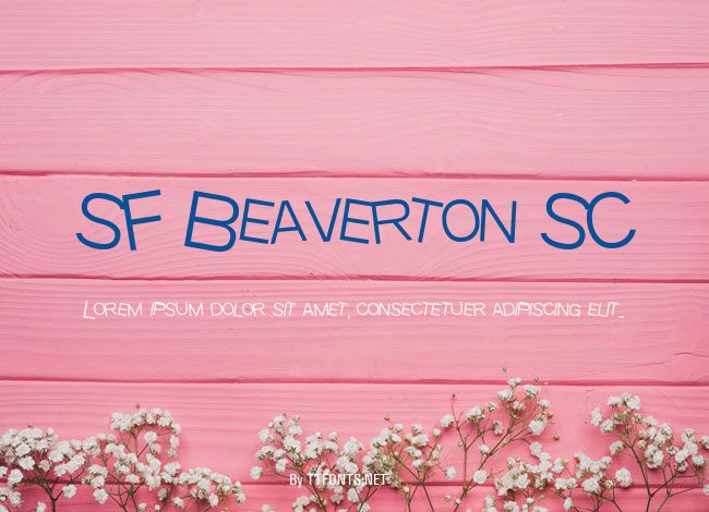 SF Beaverton SC example