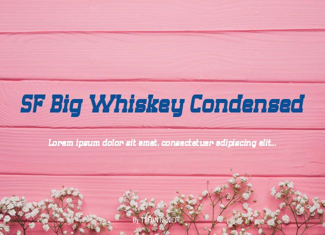 SF Big Whiskey Condensed example