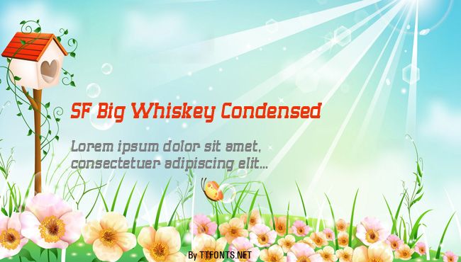 SF Big Whiskey Condensed example