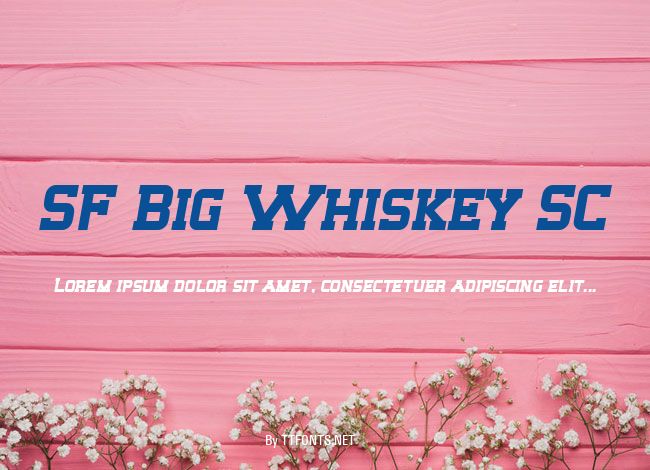 SF Big Whiskey SC example