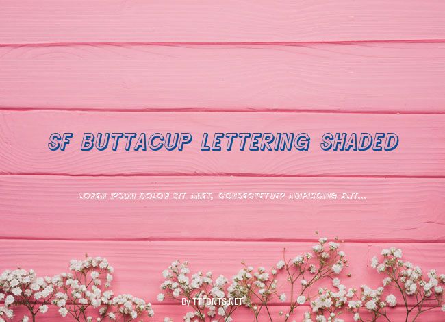 SF Buttacup Lettering Shaded example