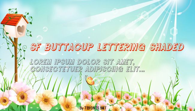 SF Buttacup Lettering Shaded example