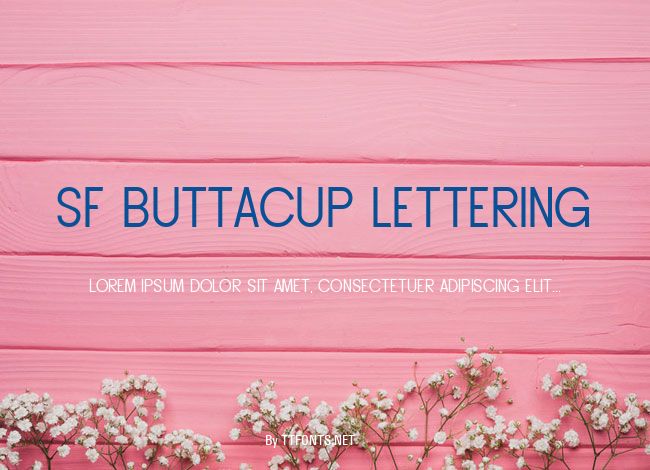 SF Buttacup Lettering example