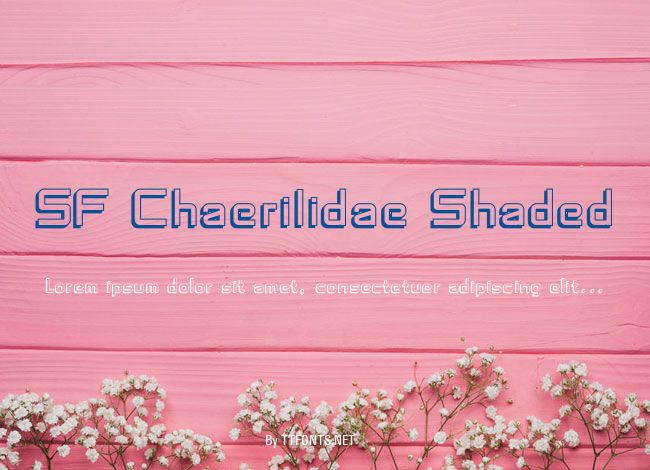 SF Chaerilidae Shaded example