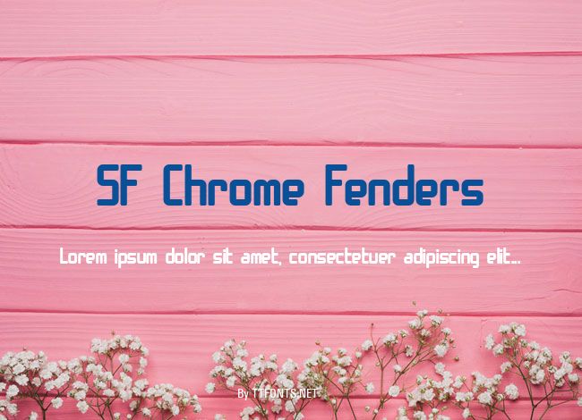 SF Chrome Fenders example