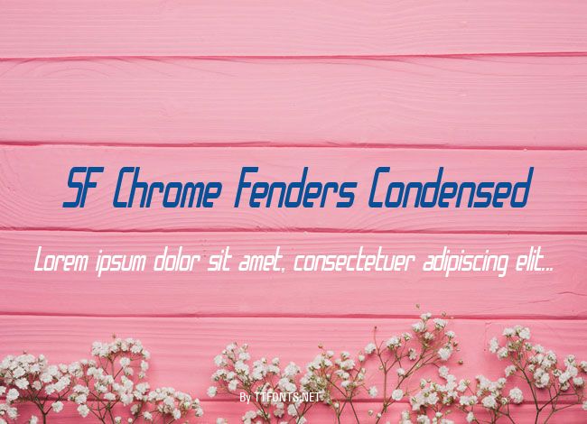 SF Chrome Fenders Condensed example