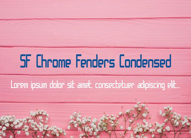 SF Chrome Fenders Condensed example