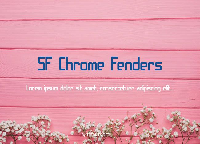 SF Chrome Fenders example