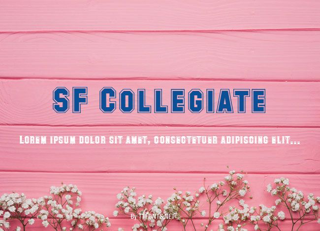 SF Collegiate example