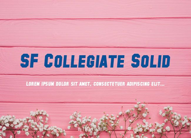 SF Collegiate Solid example