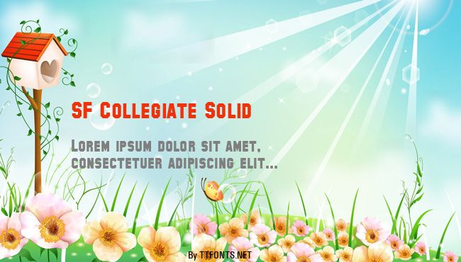 SF Collegiate Solid example