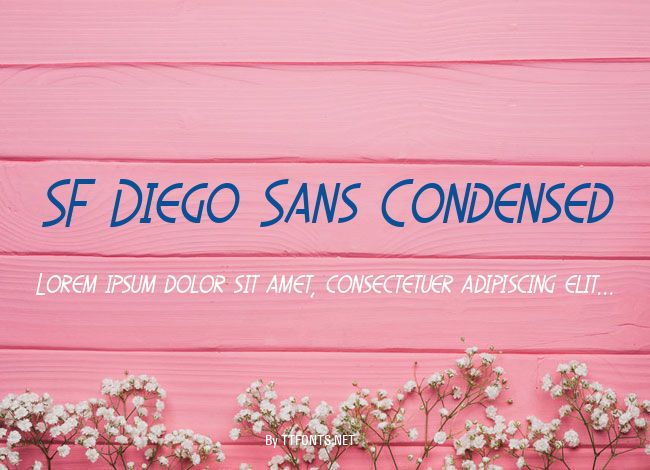 SF Diego Sans Condensed example
