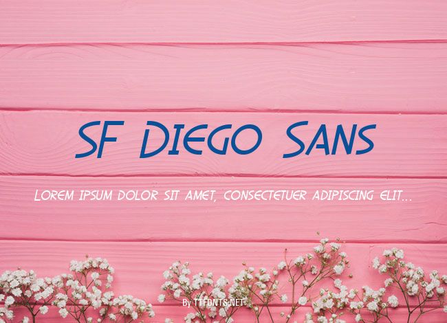 SF Diego Sans example