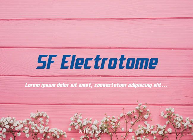 SF Electrotome example