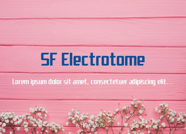 SF Electrotome example