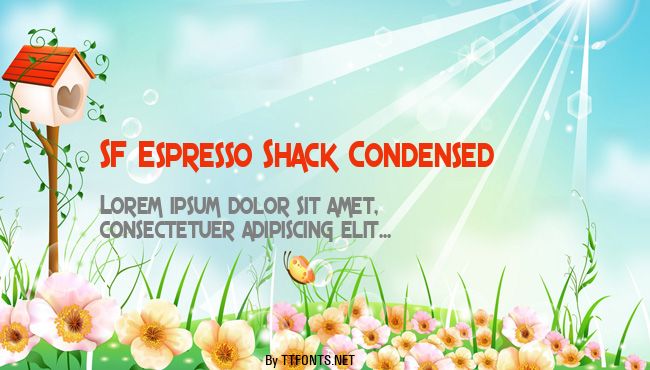 SF Espresso Shack Condensed example