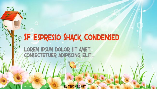 SF Espresso Shack Condensed example