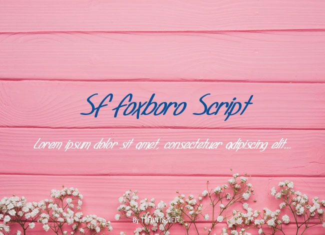 SF Foxboro Script example