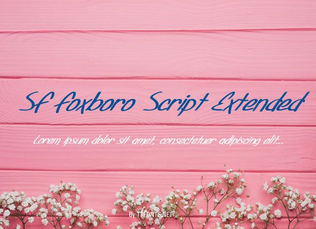 SF Foxboro Script Extended example